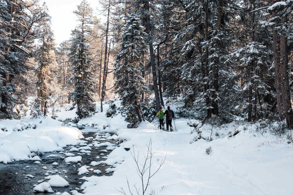 5 Stunning Winter Hiking Trails in Ontario